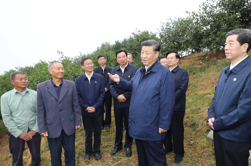 　　9月16日至18日，中共中央總書記、國家主席、中央軍委主席習近平在河南考察。這是17日上午，習近平來到信陽市光山縣槐店鄉司馬光油茶園，同正在勞作的村民和管理人員交流。 新華社記者 鞠鵬 攝