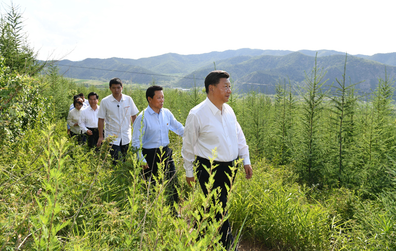7月15日至16日，中共中央總書記、國家主席、中央軍委主席習近平在內蒙古考察并指導開展“不忘初心、牢記使命”主題教育。這是15日下午，習近平在赤峰市喀喇沁旗馬鞍山林場林區，沿著崎嶇的護林小道察看林木長勢。